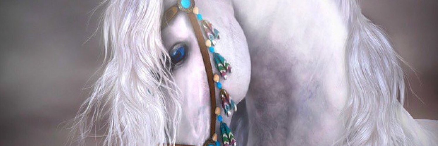 HnanMf's profile banner image