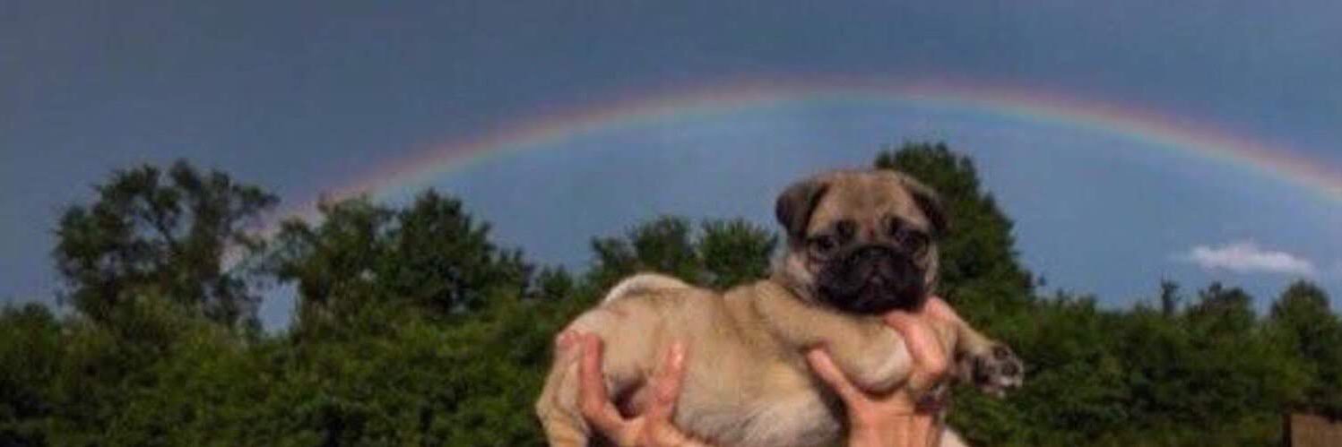 evaoclock's profile banner image