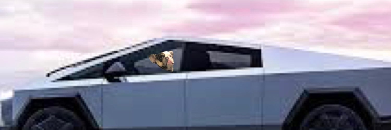 Joe banner