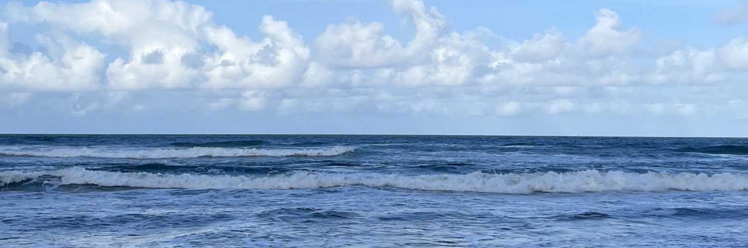 mnarifah's profile banner image