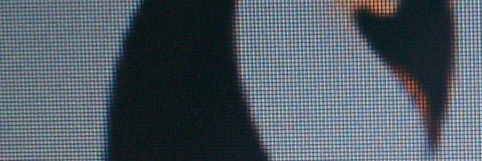 hungrypenguin1's profile banner image