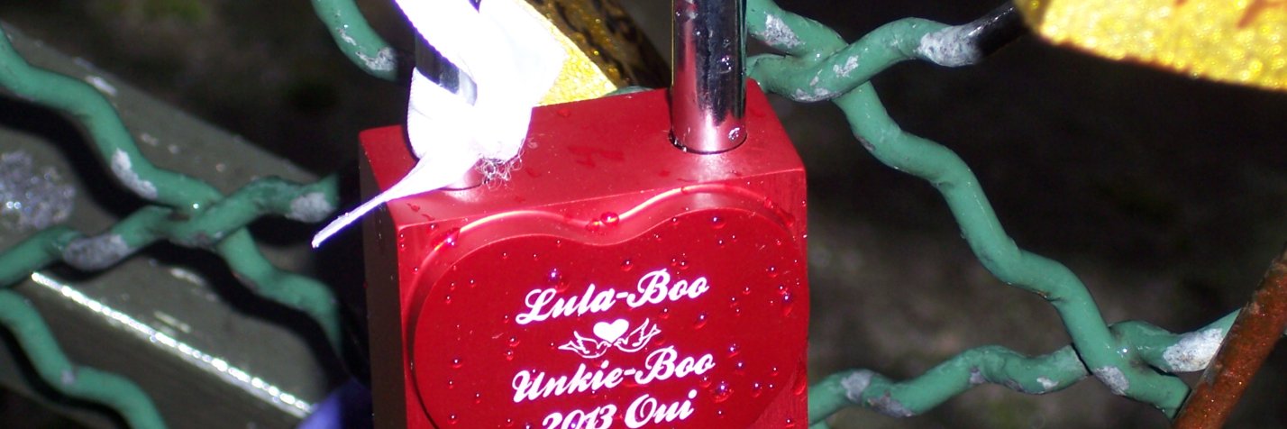 JohnnyWorldWideWiget banner