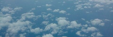 deirdre nelson banner