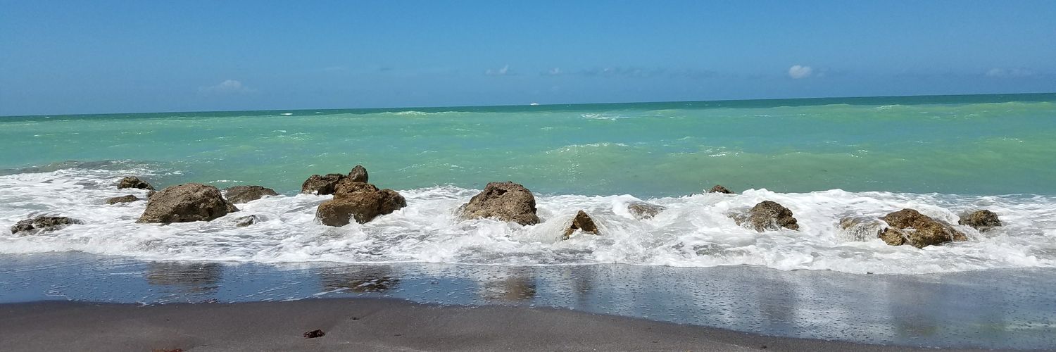 Jacqueline Ardoline banner