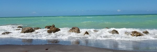 JacqueArdo Profile Banner