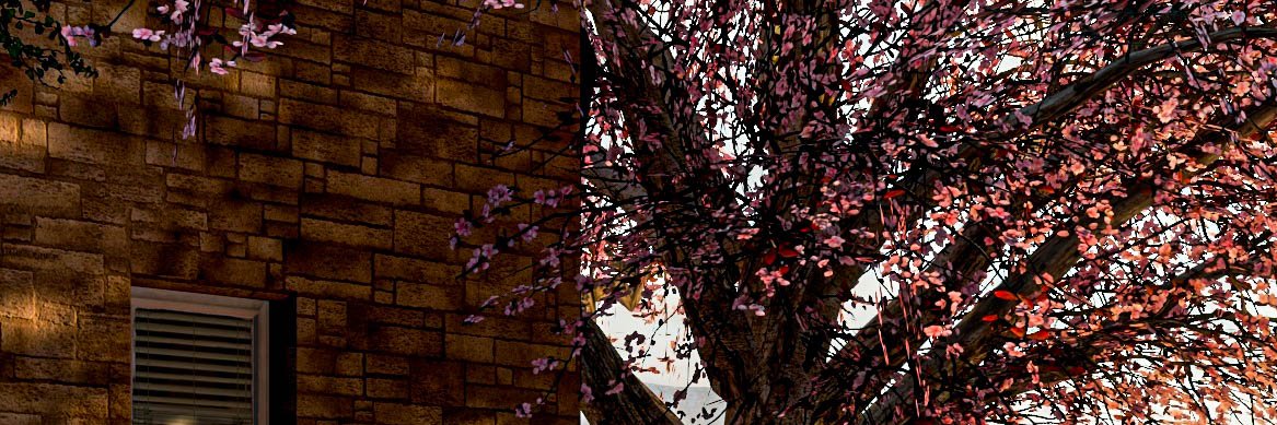 EryTucker's profile banner image