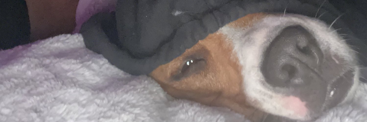 prisg_'s profile banner image