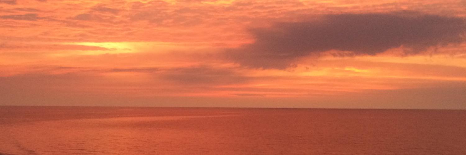 sjwesters's profile banner image
