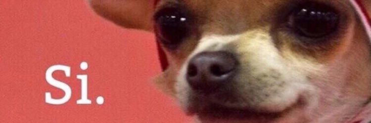 cullenw19's profile banner image