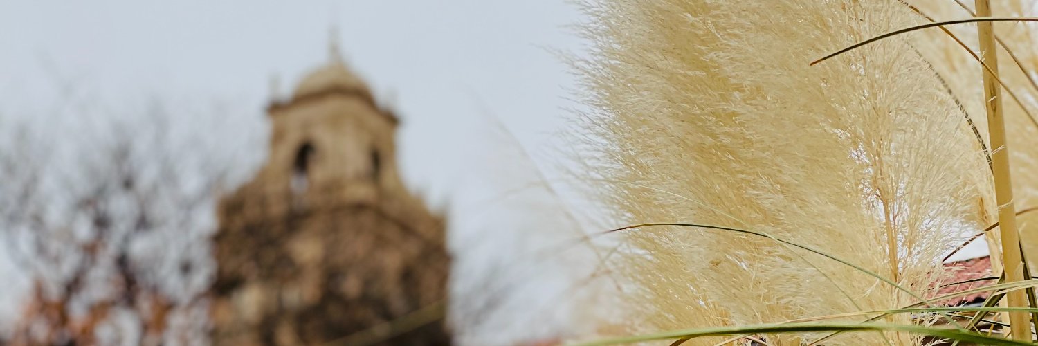 LClareGreenberg's profile banner image