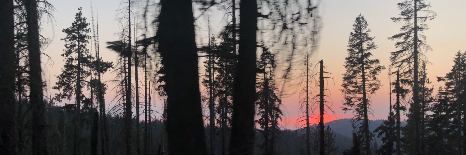 qwertyoruiopz's profile banner image