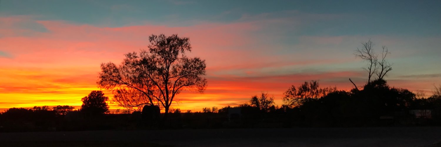 kimcallison72's profile banner image