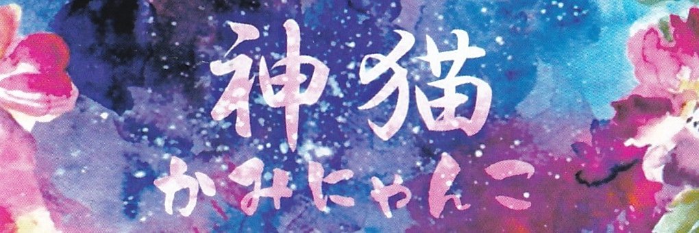 kamineko557's profile banner image