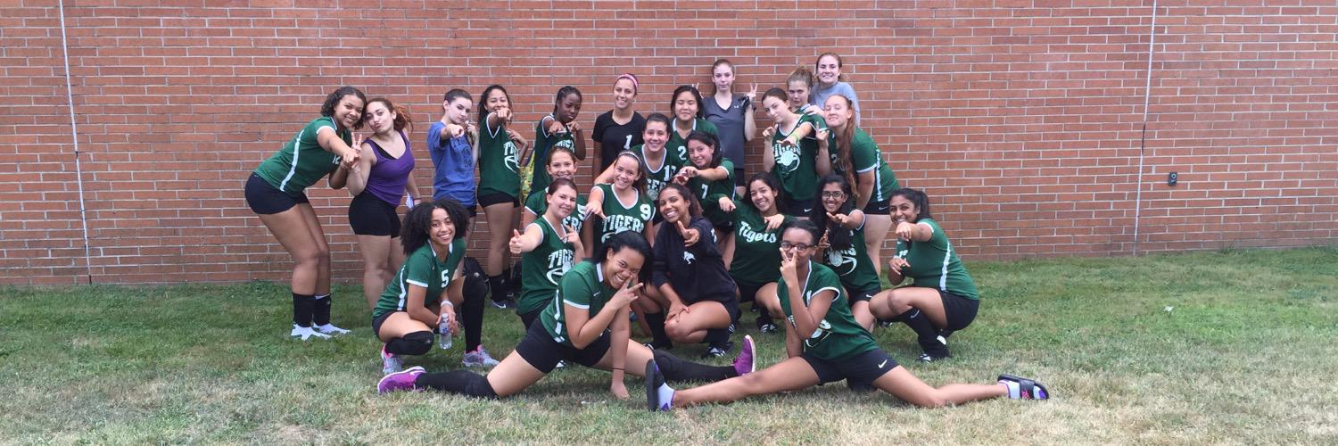 sphstigervball's profile banner image