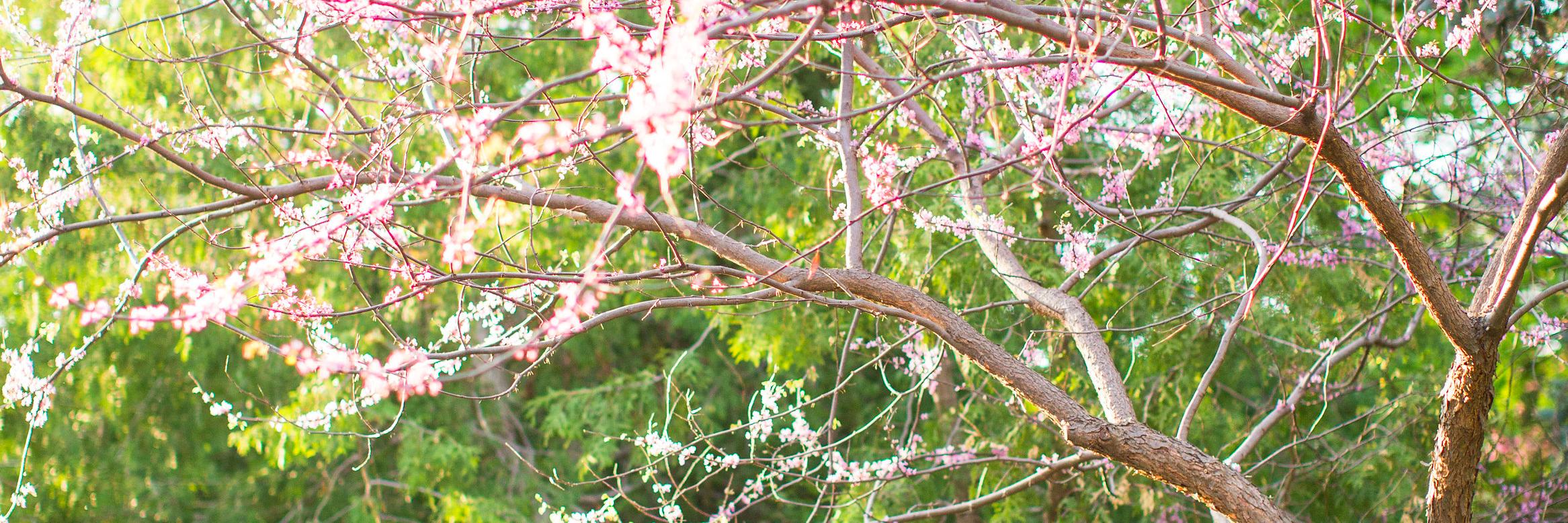 AllisonWires's profile banner image