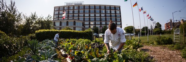 KendallCollege Profile Banner