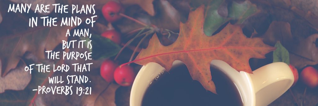fro_white's profile banner image