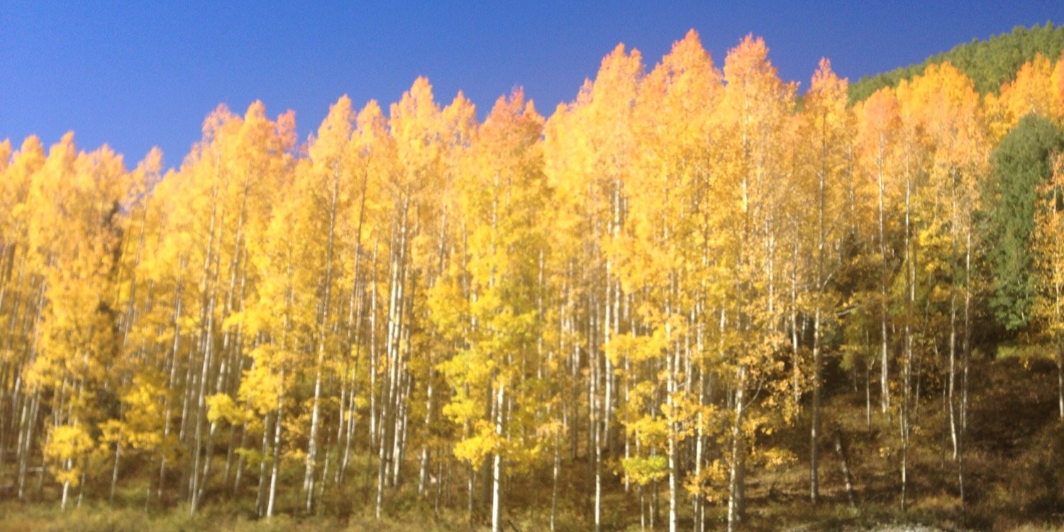 slathrop3's profile banner image