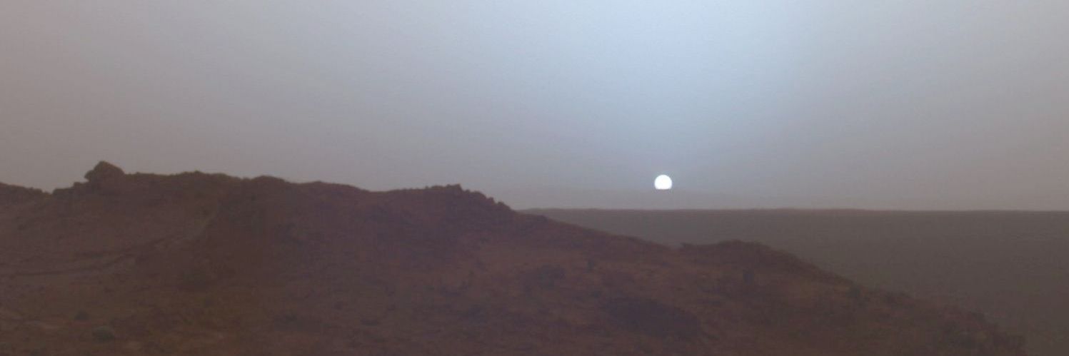 🎃 Ron May 🦉 banner