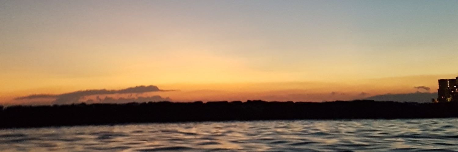 blazinbryan's profile banner image