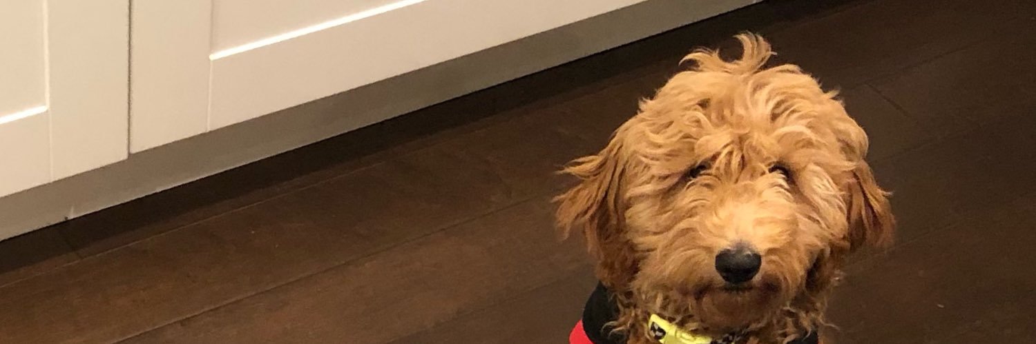 notmajyahh's profile banner image