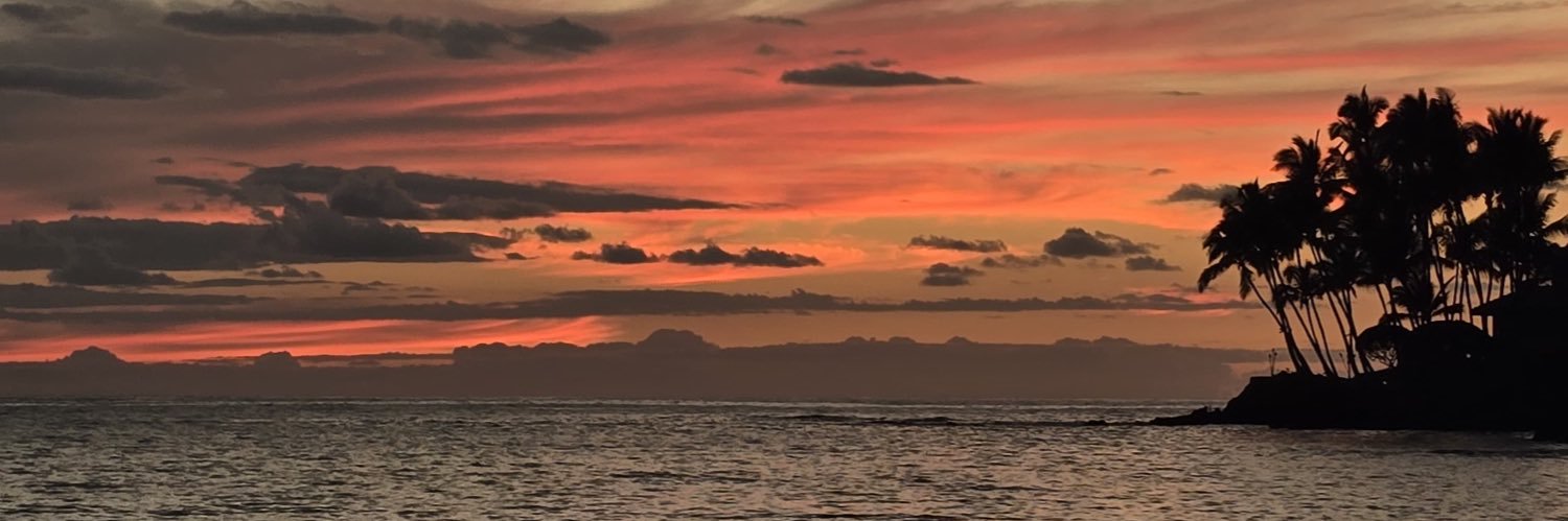 torioromi's profile banner image
