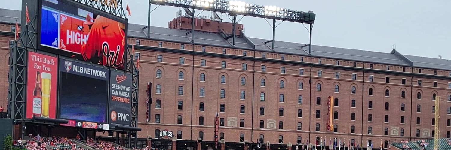 brrrnette21's profile banner image