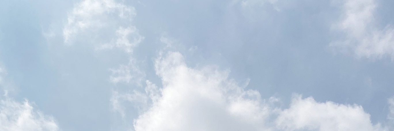 bungaagustia_'s profile banner image