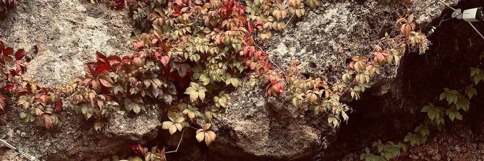 HalmatJS's profile banner image