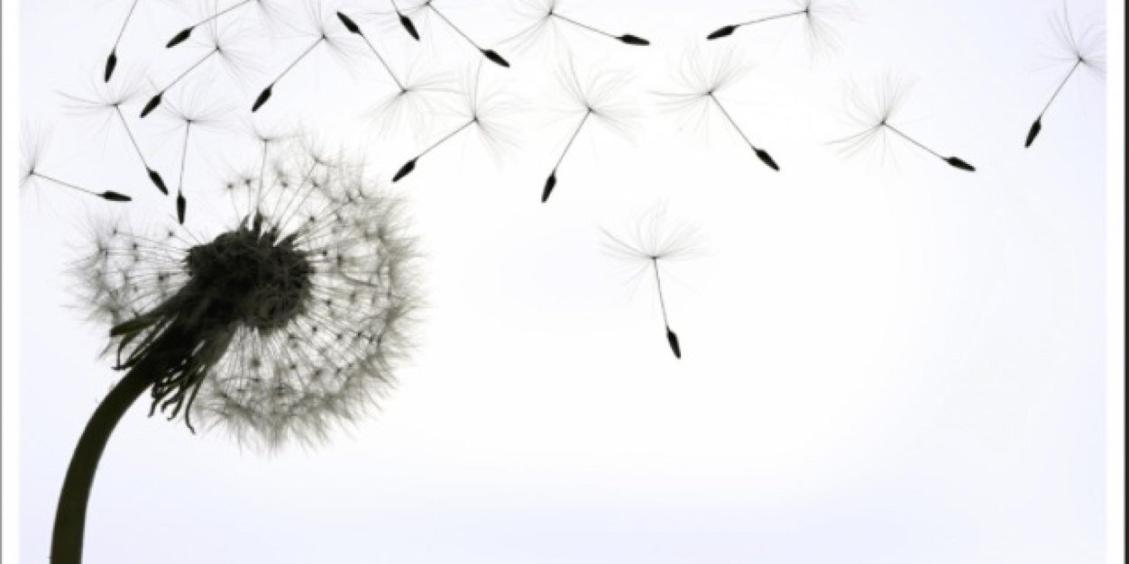 XO banner
