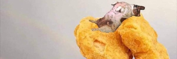 politicodoggo Profile Banner