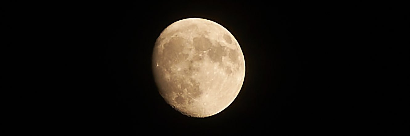 PZ_math's profile banner image