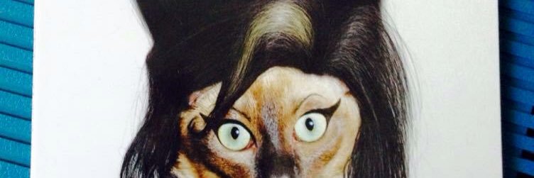 sosiaamy's profile banner image