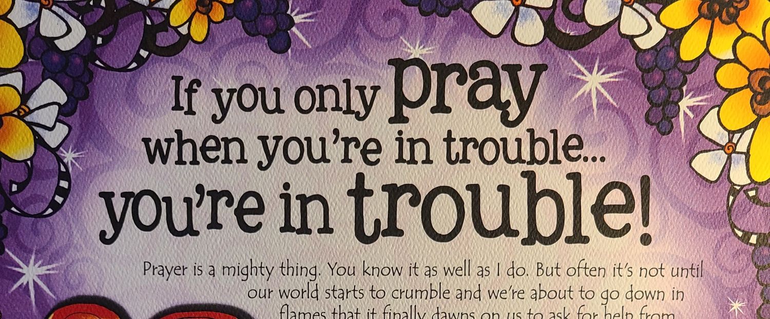 Shannon 🦋 🦋 🦋 🦋 banner