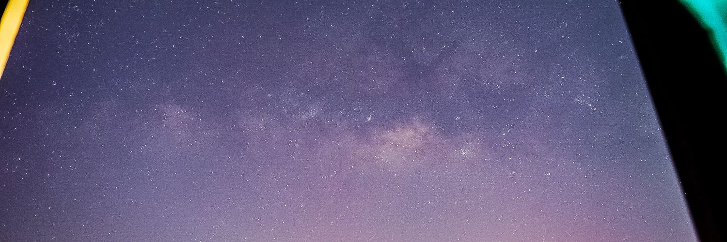bambasaur's profile banner image