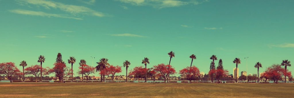stephanielim's profile banner image