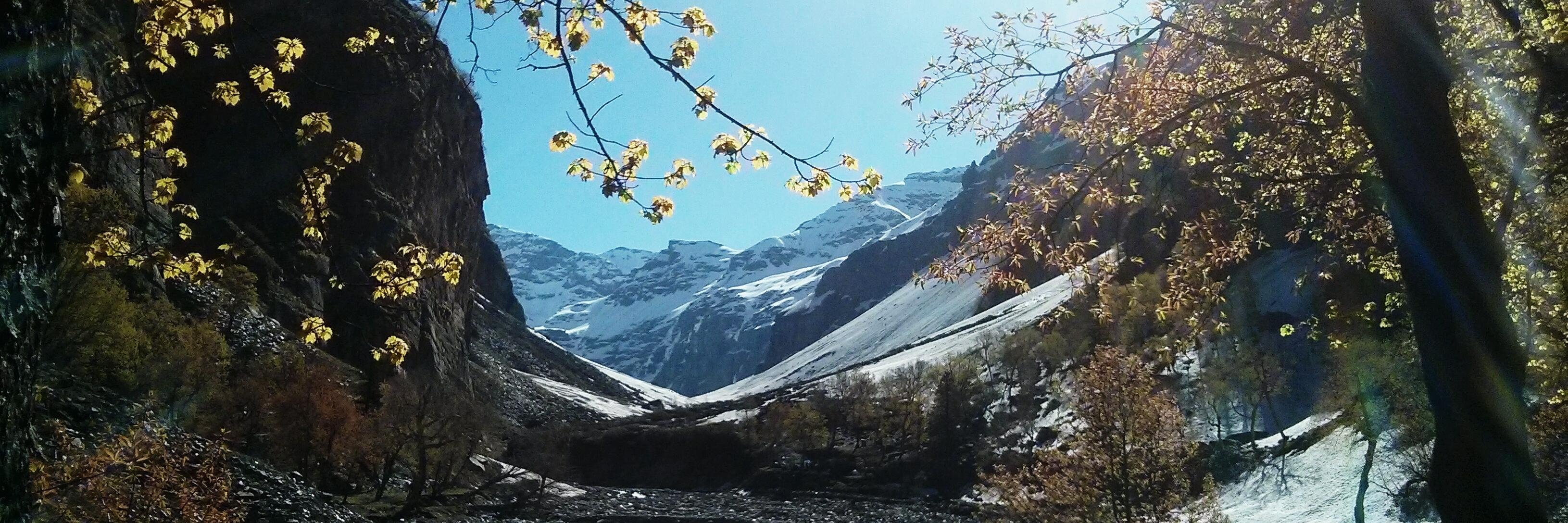peeyuka's profile banner image