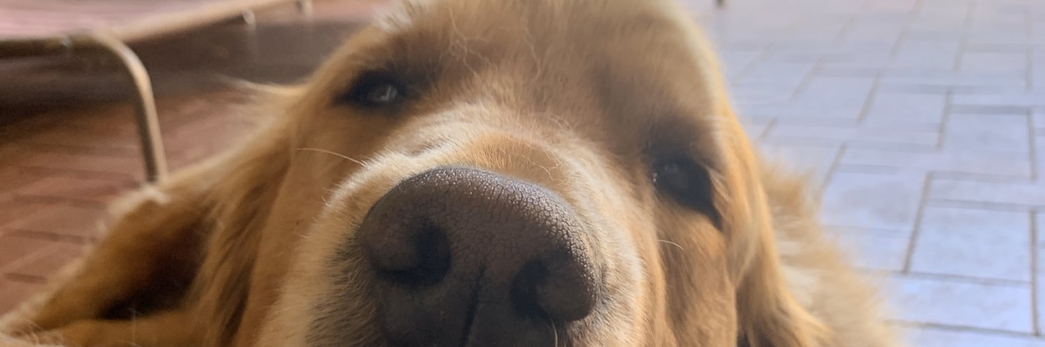 Crepetheape's profile banner image
