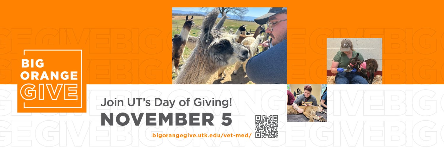 UT Col of Vet Med banner