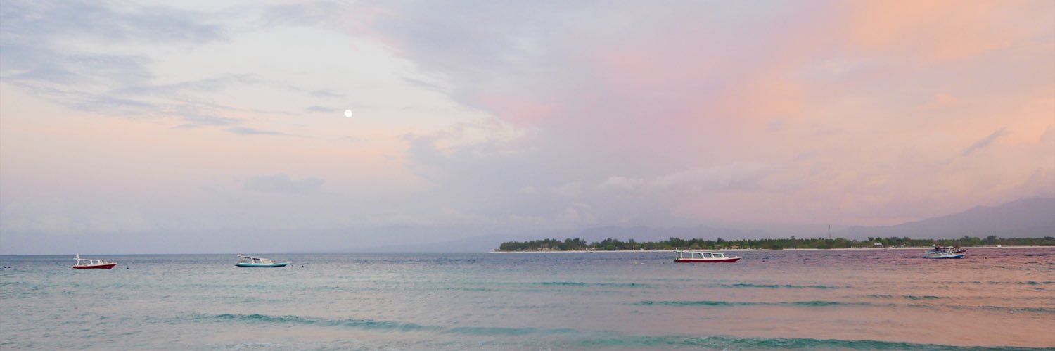 Emilyyho's profile banner image
