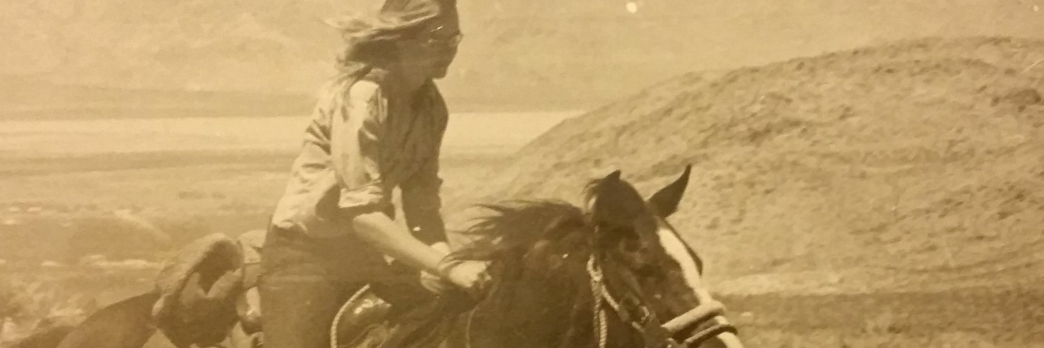 Jan Noel-Smith banner