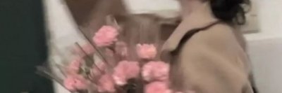 alicevelter47's profile banner image