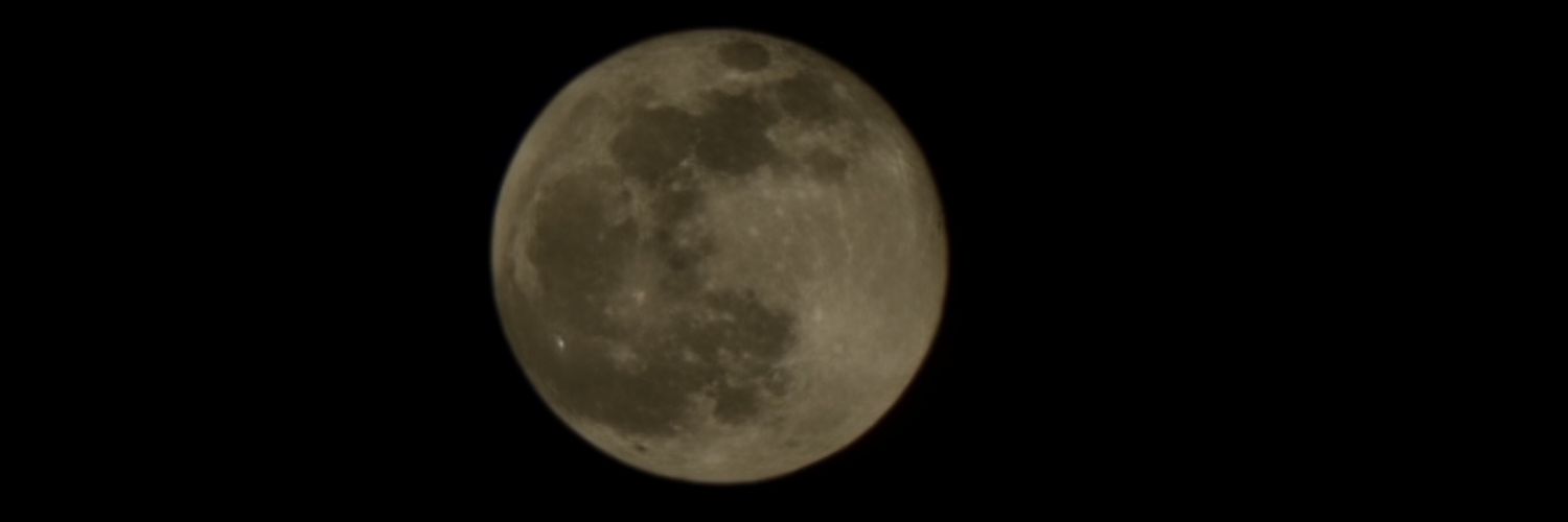 Sushmita Panda banner