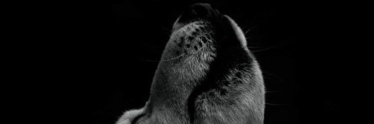 otsssmomo's profile banner image