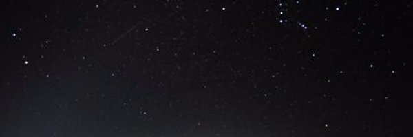 ripvansf Profile Banner