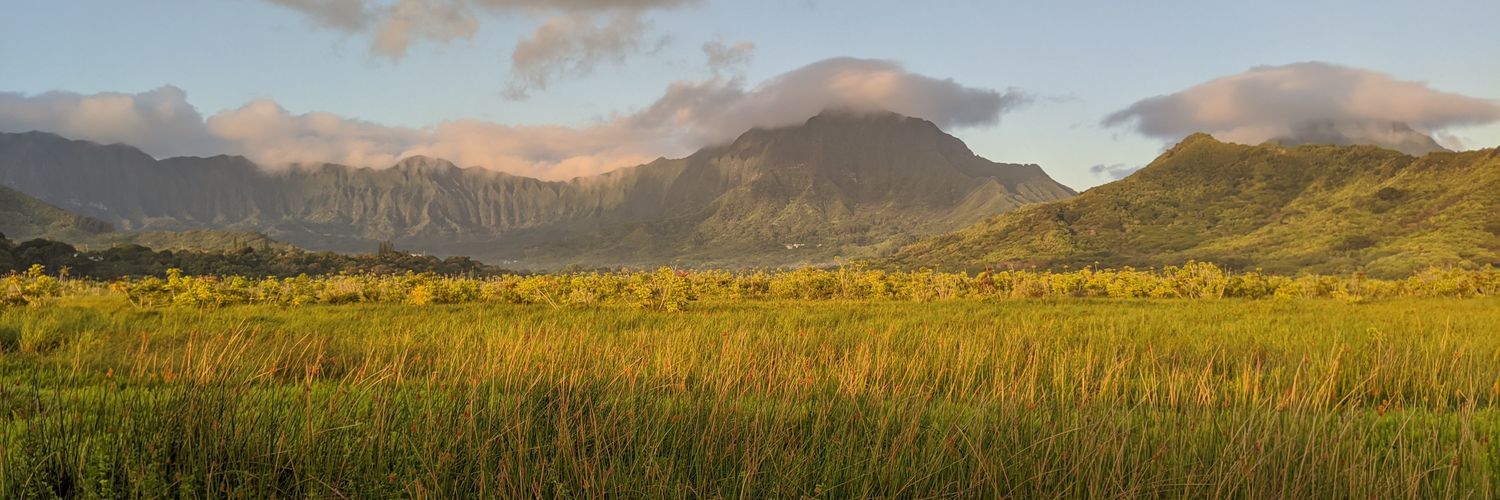 Keʻōpū Reelitz, J.D. banner