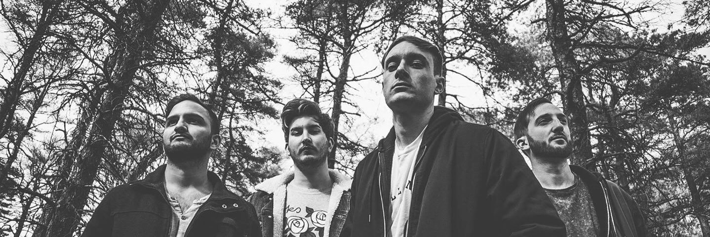 Tom Fieldhouse banner