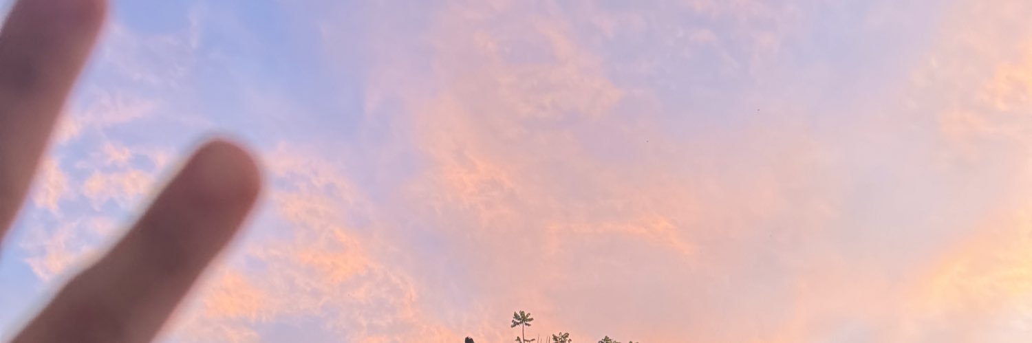ninaadlf's profile banner image