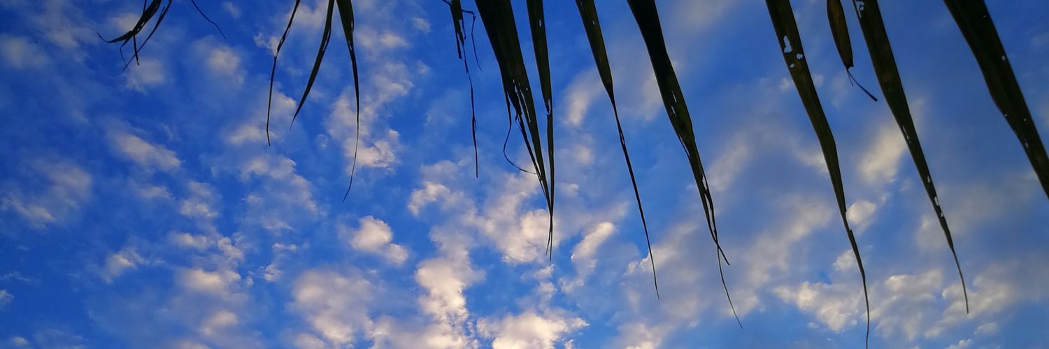 emaaooo's profile banner image