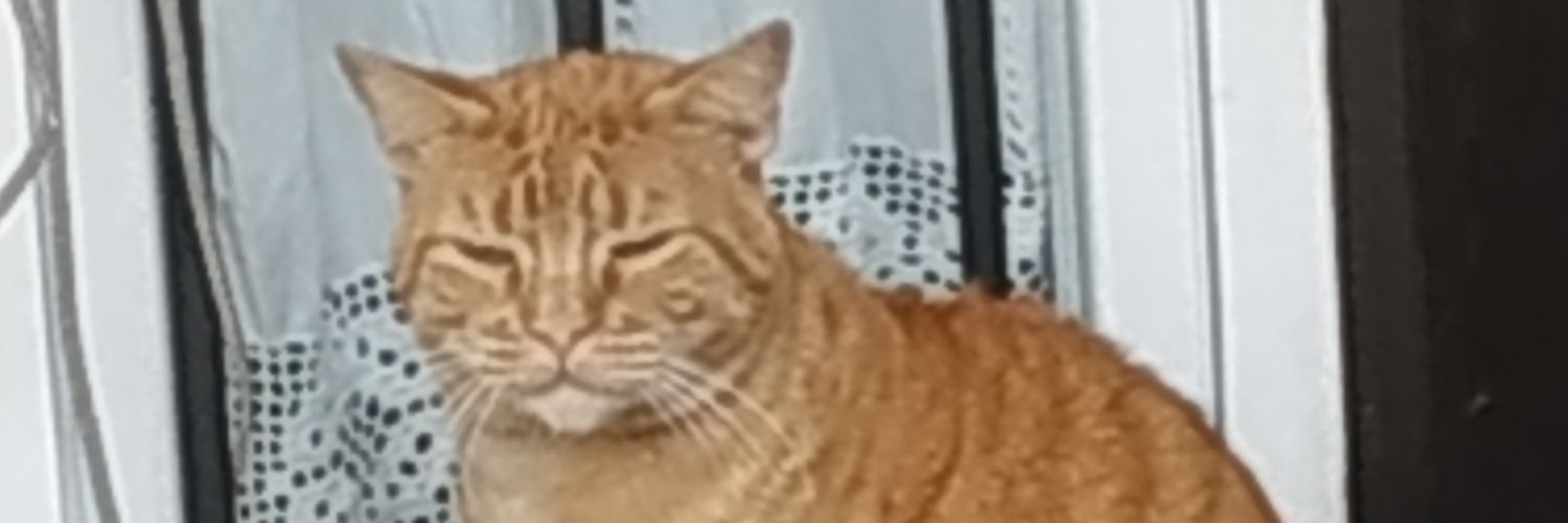 FCOYMAS's profile banner image